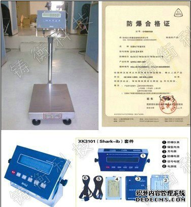 防爆电子柠檬视频黄色网站